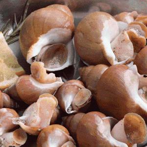 [대한민국농수산] 자연산 백골뱅이 특대 1kg(6~12미 내외) 실속형