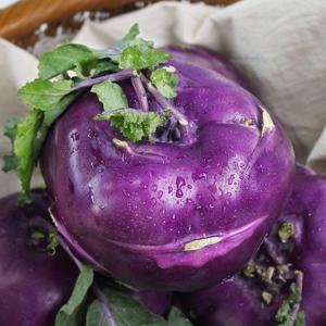 [팔도농장] 아삭 달콤한 햇 콜라비 3kg