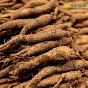 온미락 3년근 이상 국내산 산더덕 500g 미세척 자연산 야생 생더덕 가정용 특상사이즈 무농약