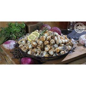 [이종임]국내산 가리비살 100g 11팩