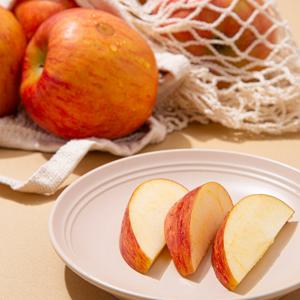 [더조은] 경북 부사 꿀사과 정품 5kg 19-21과