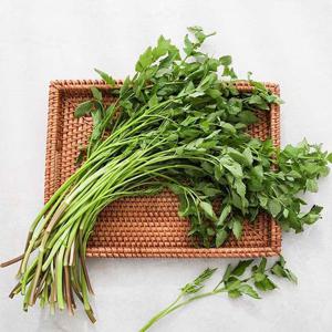 [자연맛남] 신선한 청도 미나리 1kg