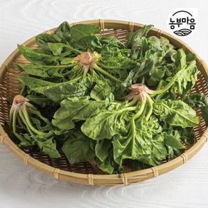 [농부마음]산지직송 남해  보물초 시금치 1kg