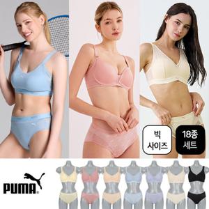 [푸마] 보정부터 편안함까지 브라팬티 14종세트 외 택일(75A~90B까지)