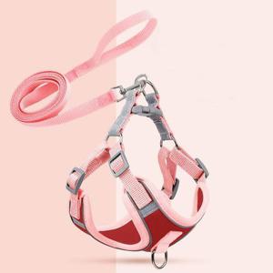 애완용품 가슴줄 목줄 투톤 강아지 애견목줄 하네스 세트