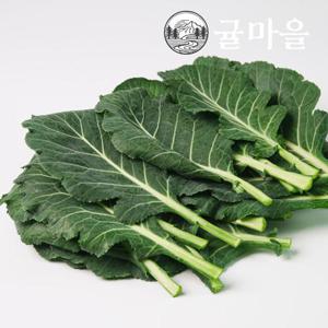 귤마을 국내산 케일 2kg내외