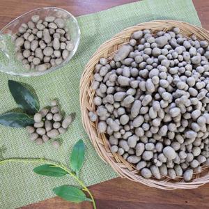 국내산 안동 마씨앗 5kg