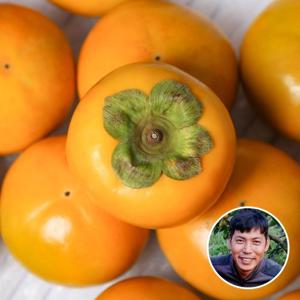 [산지장터] 구례 김상수 농부의 부유 단감 5kg (22과내) 대과