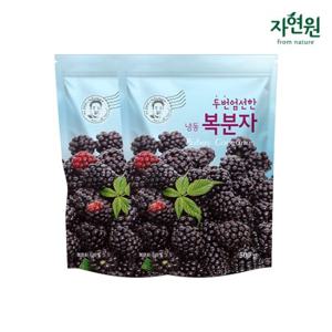 [자연원] 두번엄선한 냉동 복분자(국산) 500g x 2팩