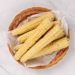 바로먹는 냉동 괴산대학 삶은 찰옥수수 12개 (18cm내외)