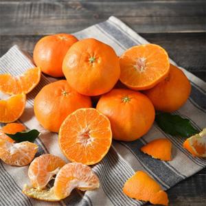 [첫수확] 고당도 제주 레드향 2.5kg 중과(14과내외)