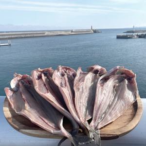 [연자매수산] 쫀득쫀득 국내산 반건조임연수 500g내외(4~6미) x 2세트