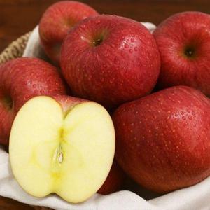 갤러리아_밀양 얼음골 부사사과 5kg 중과(20과내외)