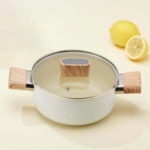 로이첸 IH 인덕션 모아포트 20cm 양수 냄비