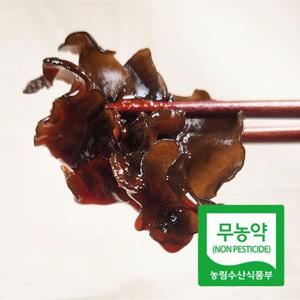 [버섯농부] 국내산 무농약 생 목이버섯 1kg