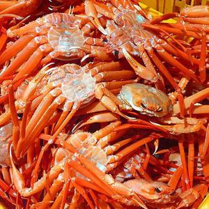 구룡포 자숙 박달홍게 3kg