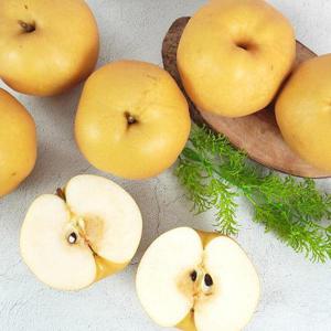 [더조은] 나주 신고배 5kg 정품 (6-10과 내외)