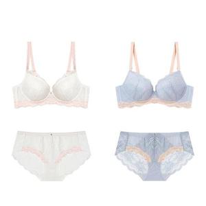 [에블린]레이스팬티세트 파우더드레스 브라 EBBRF4975M