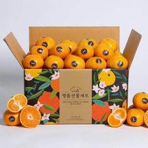 [제주직송] 블랙라벨 타이백 감귤 4.5kg 프리미엄 소과