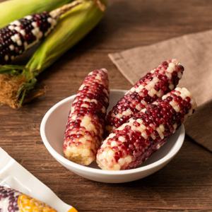 [삼기품]곡성 찰 옥수수 18개 세트 [흑찰옥수수 3팩(총6개)+ 미니찰옥수수 4팩(총12개)]/ 냉동