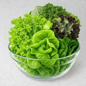 신선한 한 끼, 유러피안 쌈채소 1kg (3-5종 구성)