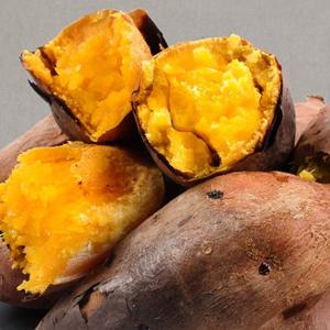 [뜰안애] 안면도 호박고구마 5kg (한입/40-60g내)