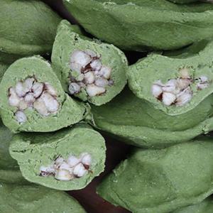 영광 모시 생송편 통동부 25개