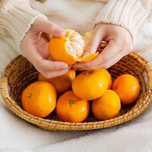 갤러리아_산지직송 제주 감귤 4.5kg 프리미엄과(S)