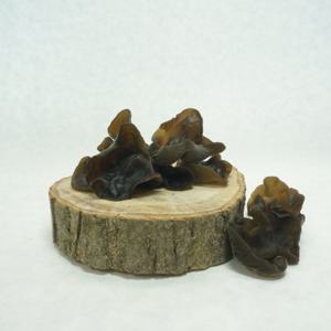 국내산 목이버섯(생물) 400g 숙회 식이섬유 풍부 주문후 수확