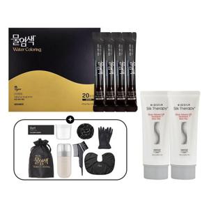 [씨드비]씨드비 비건 물염색 20회분+염색도구+트리트먼트 100ml 2개