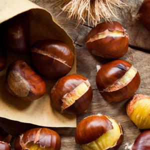 달콤한 영양간식 구워먹는 칼집 약단밤 4kg