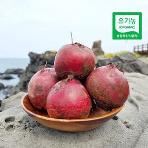 제주 모슬포 유기농 레드 비트 5kg