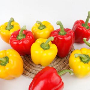 국내산 혼합 못난이 빨강 노랑 파프리카 가정용 2kg