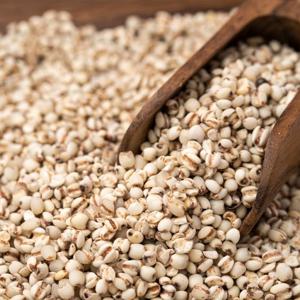 국산 율무 500g x 2봉 l 율무쌀 잡곡 l 지퍼팩 소포장