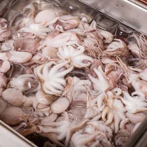 손질 냉동쭈꾸미 200g *10팩(팩당 6미)