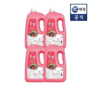 순샘 프레시 베리 주방세제 3L 4개