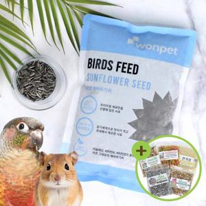 원펫 해바라기씨 400g 앵무새 햄스터 소동물 영양간식