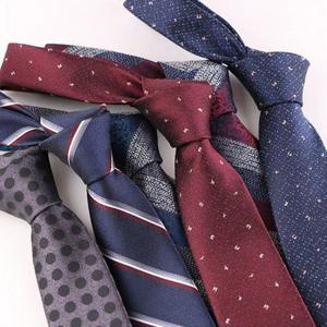 예쁜 넥타이 남성의 상징 정장의 완성 면접 결혼식용 (W9DCD69)