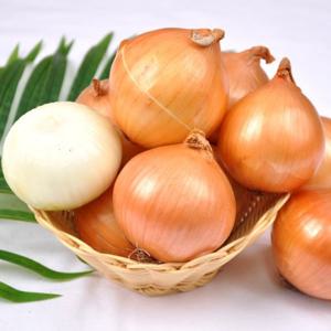 [푸르젠 양파] 국내산 햇 양파 10kg(소/장아찌용 100g 미만)