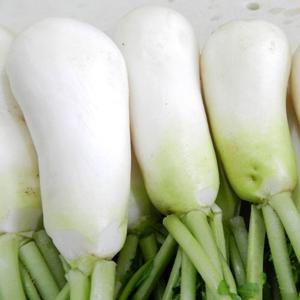 싱싱한 황토 세척 알타리무/초롱무 3kg(1.5단내외)