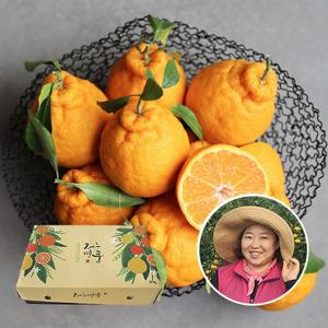 [제주직송] 제주 서귀포 향긋한 한라봉 선물용 5kg(10~24과 내외)