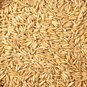 국산 귀리 500g x 2봉 l 귀리쌀 잡곡 l 지퍼팩 소포장