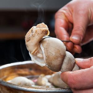 포항 당일조업 생물 백골뱅이 백고동 1kg (25-35미 내외)중