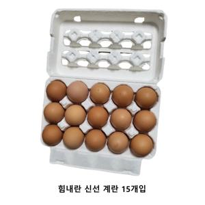 [HACCP] 힘내란 신선 대란(계란) 15개입 / 무항생제 왕란(계란) 15개입