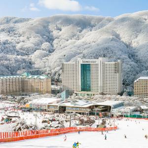 [슈퍼트립] 소노벨 비발디파크 객실+오션월드 3인 패키지