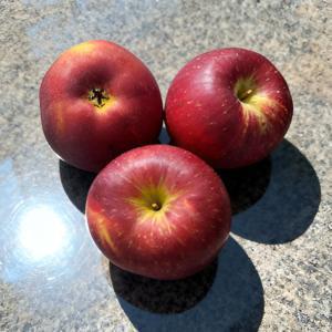 [팜보스]고당도 엔부사과 피치애플 1kg 2kg 중과 대과 (동일옵션 2개 구매시 500g 추가증정)