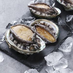 [푸토리] 산지직송으로 더욱 신선한 완도 활전복 1kg 모음전