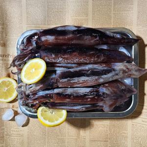 오성푸드 온미랑 손질오징어 생물 손질 숙회 활오징어 생오징어