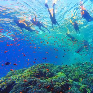 [슈퍼트립] 인도네시아/마나도 5일 No쇼핑 베스트웨스턴 VS 포포인츠by쉐라톤(호핑투어&나인아일랜드,토모혼관광)