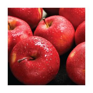 [신선과일] 중대과 경북 햇 부사 사과 5kg (19-22과) 가정용